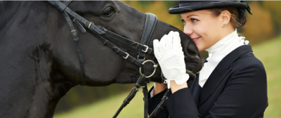 dressage rider with horse