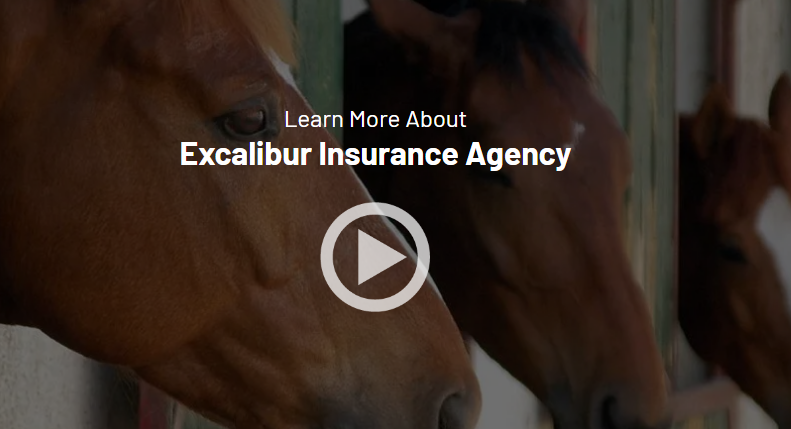 Learn More about Excalibur Insurance Agency (link to video)